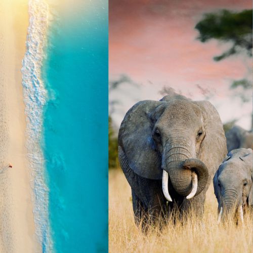 Africa
